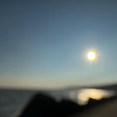 Le Poisson Dans Le Percolateur *